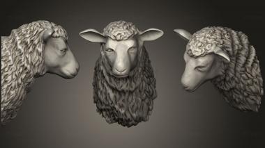 3D model Sheep Head (STL)